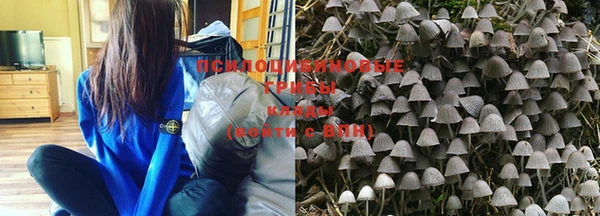 винт Новодвинск