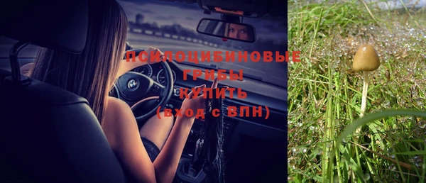 прущая мука Нея