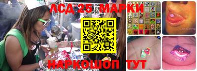 дмт Кандалакша