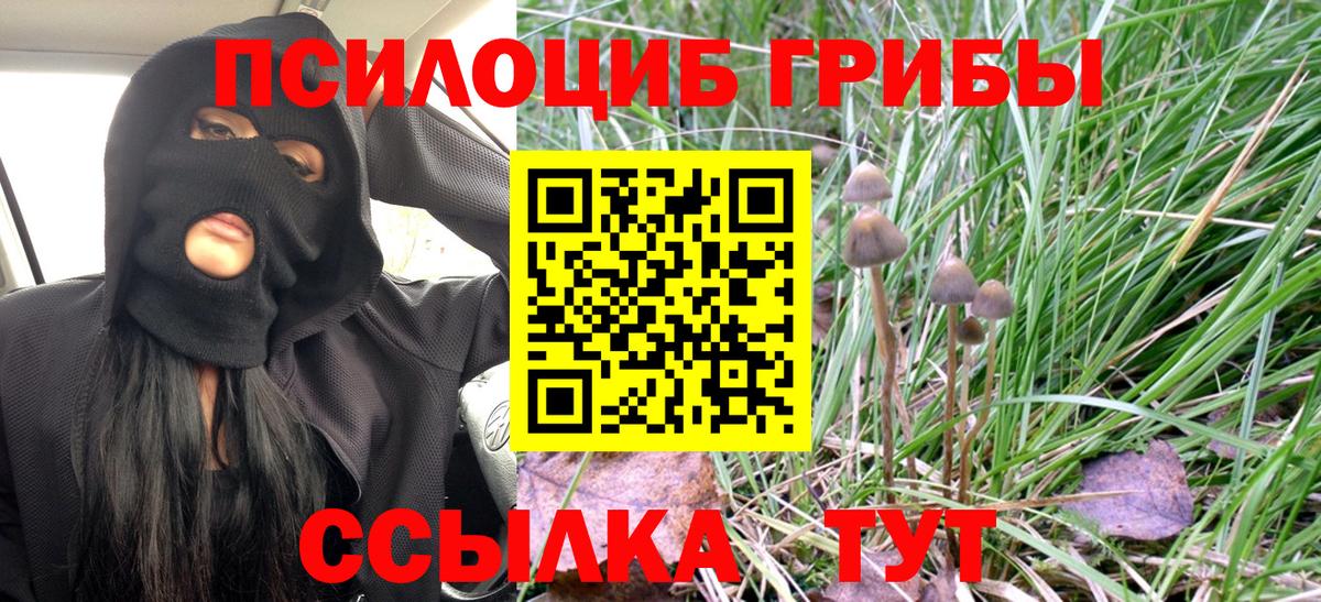 Псилоцибиновые грибы MAGIC MUSHROOMS  Псилоцибиновые грибы прущие грибы  Вход с VPN  хочу   Саров 